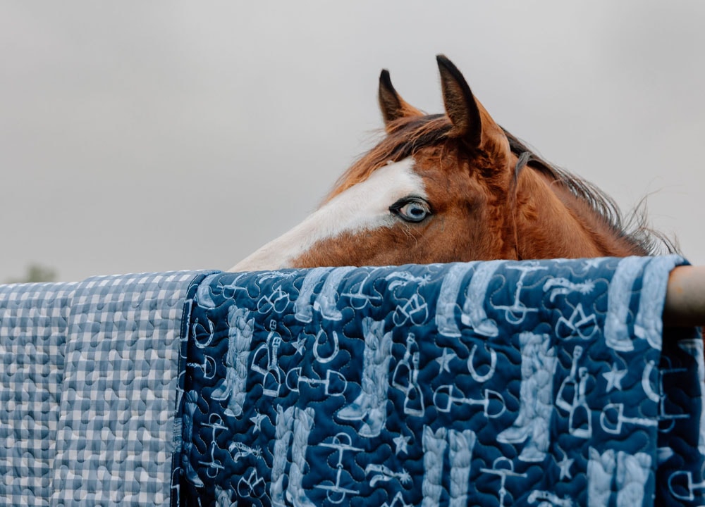 Una colcha de Ida Mae reposando sobre una cerca met&aacute;lica, con un caballo de pie detr&aacute;s.