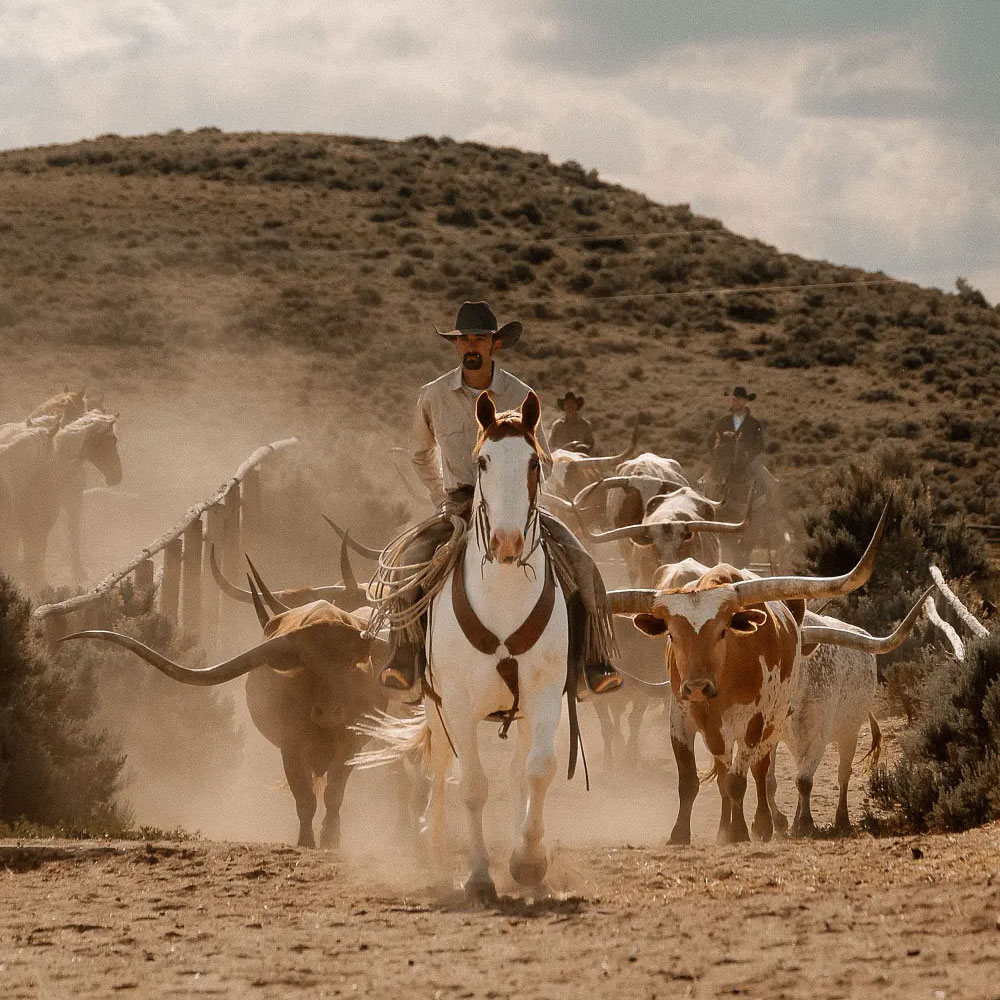 Man on a horse riding down a ranch dirt path.