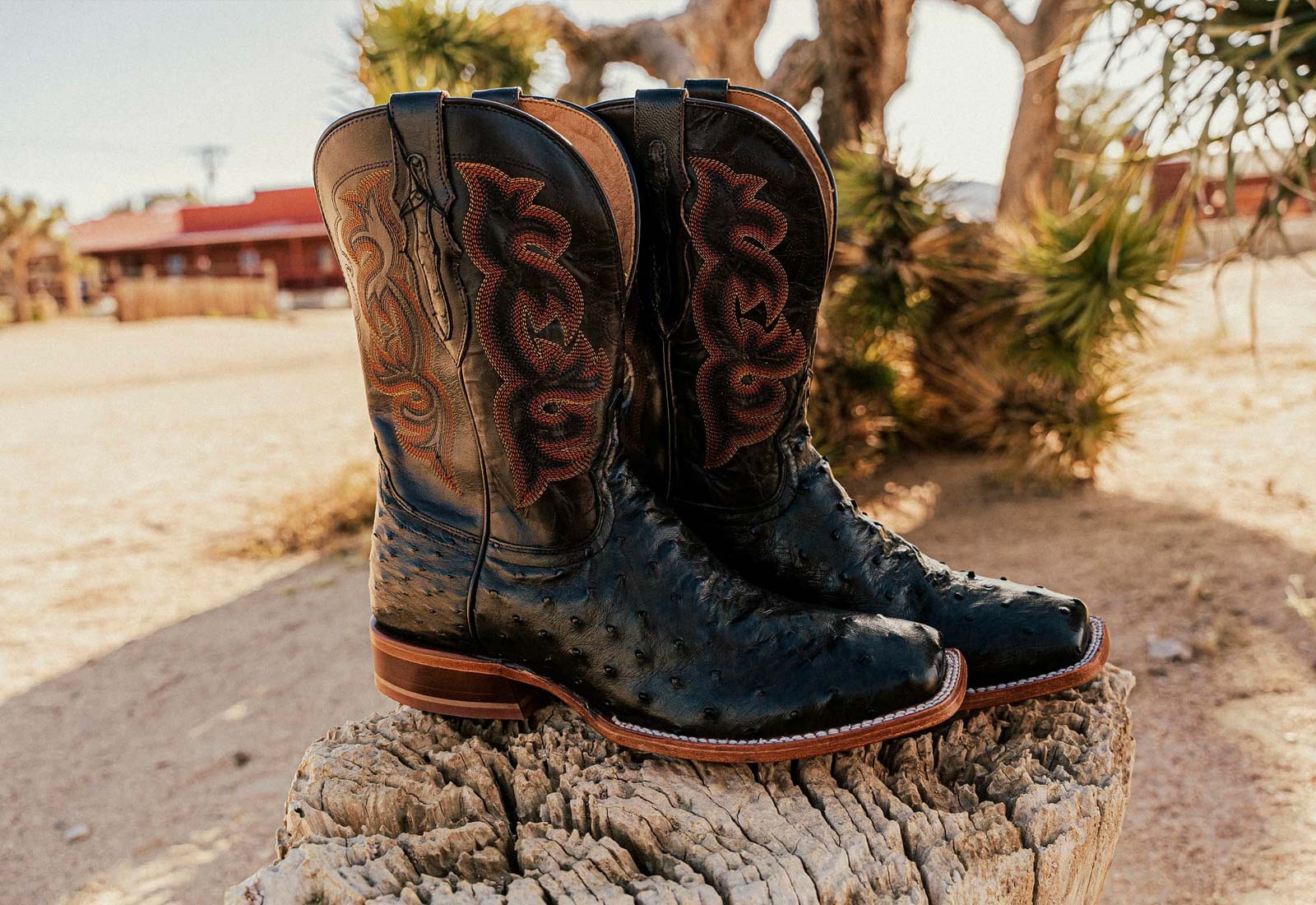 Quaid 11" Full Quill Ostrich western boot in Brown.